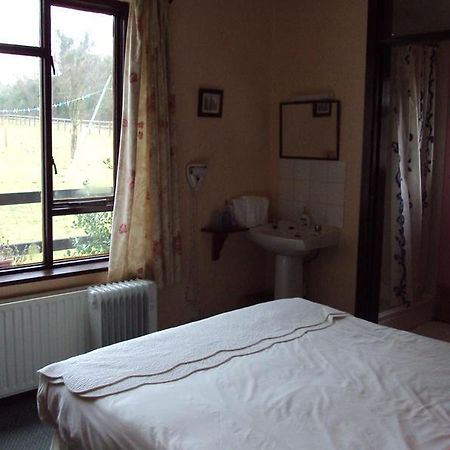 Ferienwohnung Belmont House Waterford Exterior foto